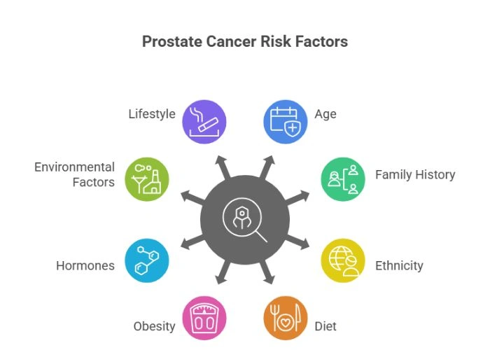 Causes of Prostate Cancer